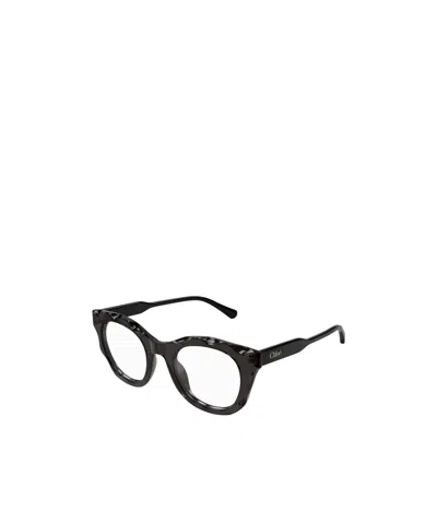 Chloé Eyewear Oval-frame Glasses In Black
