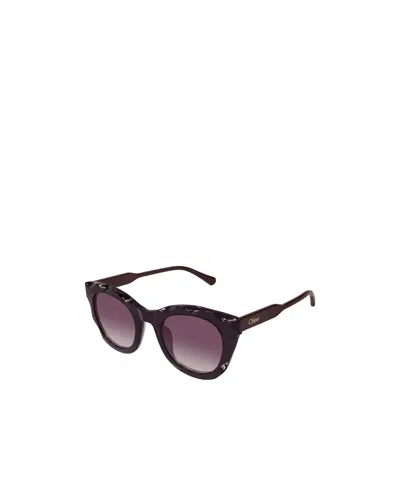 Chloé Cat Eye-frame Sunglasses In Deep Fuchsia