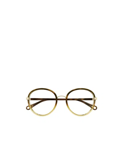 Chloé Round Frame Flat Mirror In Brown
