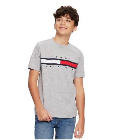 Tommy Hilfiger Big Boy Tommy New Signature Tee In Grey Heather