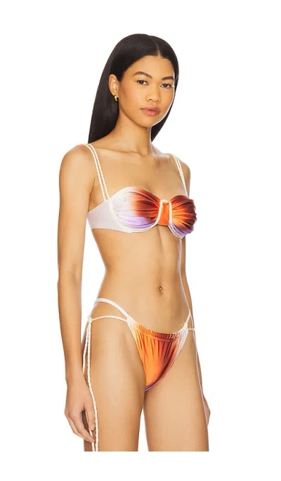 Baobab Lua Twisted Rope-strap Bikini Top In Mousse