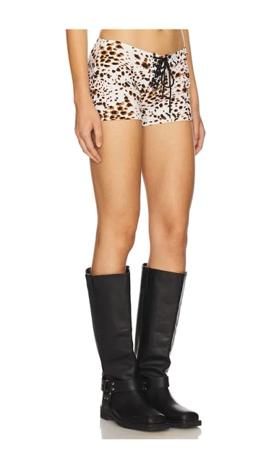 Indah Ivan Printed Lace Up Booty Short In Cowgirl