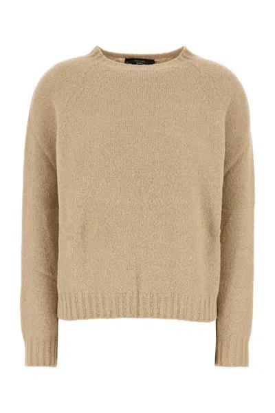 Weekend Max Mara Camel Stretch Alpaca Blend Ghiacci Sweater In Brown