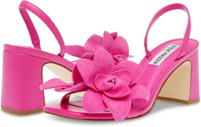 Steve Madden Farrie Sandal In Pink