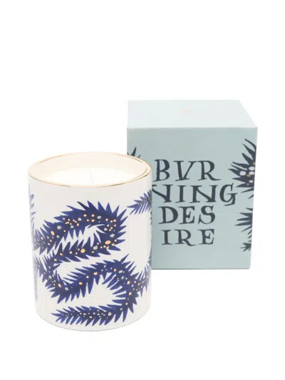 L'objet Ruan Hoffmann Edition Burning Desire Vet-vert Candle In Neutrals