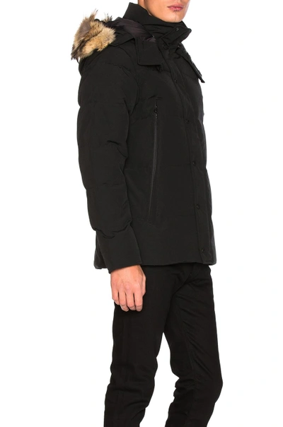 Shop Canada Goose Wyndham Parka In Black