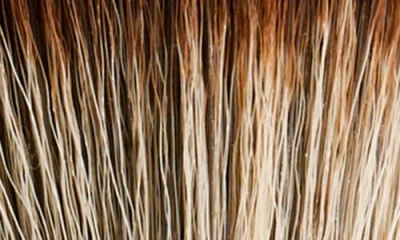 Victoria Beckham Brush Collection 12 Buffer Brush In Brown