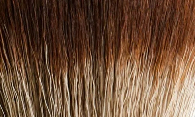 Victoria Beckham Brush Collection 12 Buffer Brush In Brown