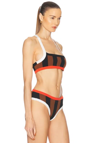 Tropic Of C La Plage Bikini Top In Brown & Black Stripe