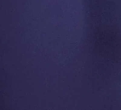 Khaite Lucian Pleated Silk-organza Maxi Skirt In Amethyst