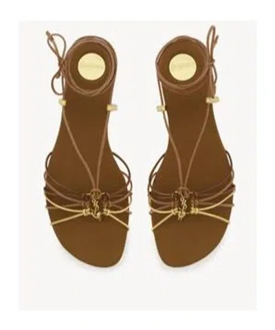 Saint Laurent Cassandre Leather Flat Strappy Sandals In Gold