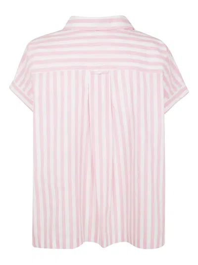 Aspesi Striped Poplin Top With Polo Collar And Side Slits In Pink