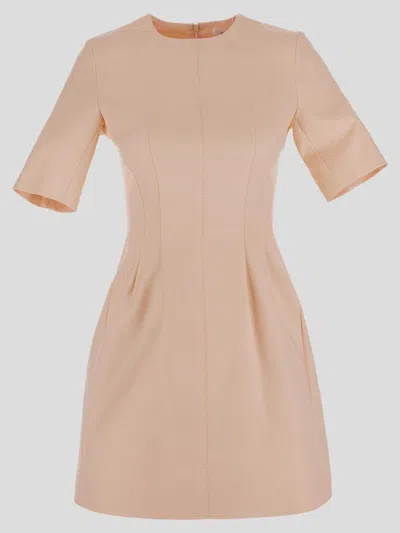Sportmax Crewneck Short-sleeved Dress In Pink