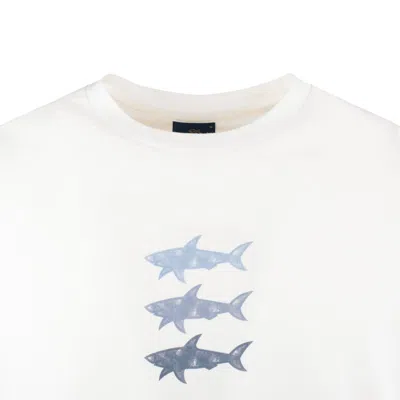 Paul & Shark Cotton Jersey T-shirt With Sharks Print In White