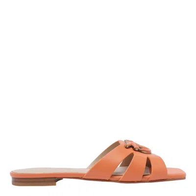 Shop Pinko Sandals In Brown