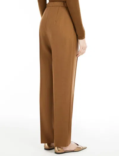 Max Mara Edere Pants In Brown