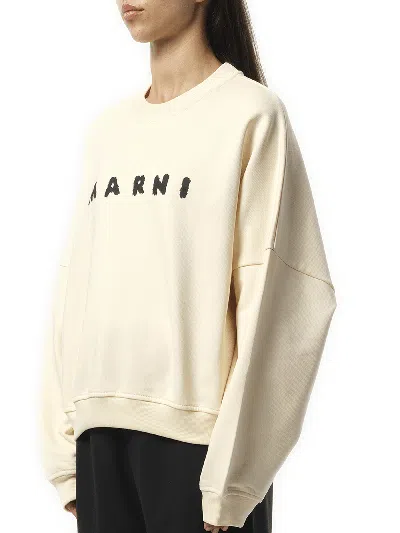 Marni Logo Sweatshirt In Ivory