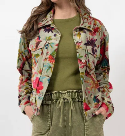 Ivy Jane Bird Print Velveteen Jacket In Sage In Multi