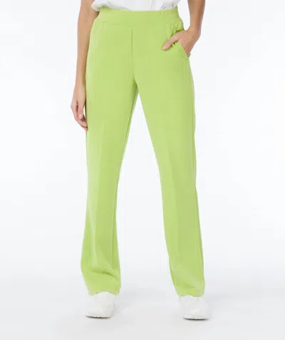 Esqualo Flair Modal Trouser Jogger In Lime In Green