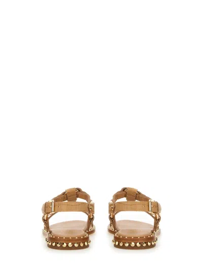 Ash Woman Sandals Sand Size 8 Leather In Neutral