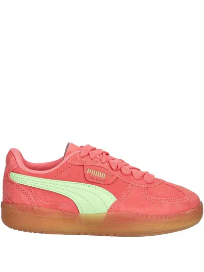 Puma Palermo Moda Xtra Gum Rubber Sneaker In Pink