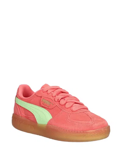 Puma Palermo Moda Xtra Gum Rubber Sneaker In Pink