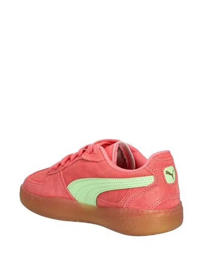 Puma Palermo Moda Xtra Gum Rubber Sneaker In Pink