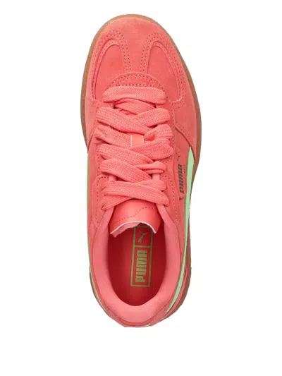 Puma Palermo Moda Xtra Gum Rubber Sneaker In Pink