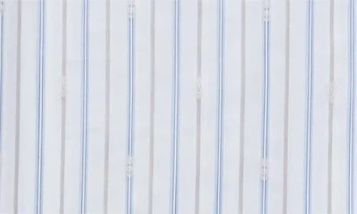 Alexander Mcqueen White & Blue Skull Stripe Shirt In Gray