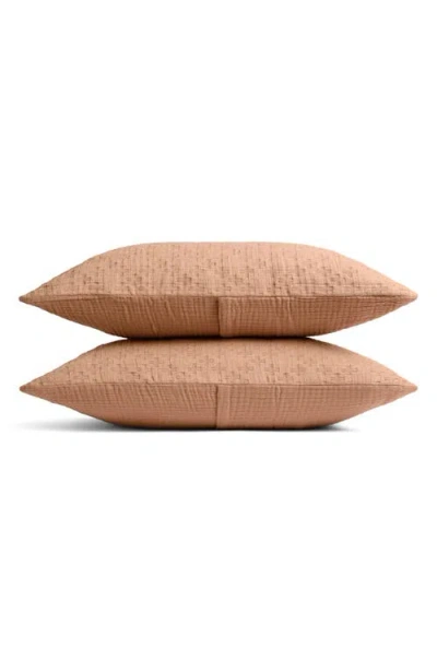 Parachute Desert Set Of 2 Cotton Shams In Adobe