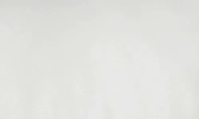 Cozy Earth Down Alternative Pillow In White