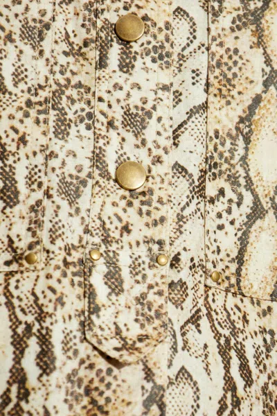 Isabel Marant Floran Shirt In Animal Print