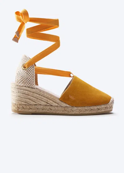 Viscata Fosca Limited Edition Suede Espadrille Wedges In Yellow