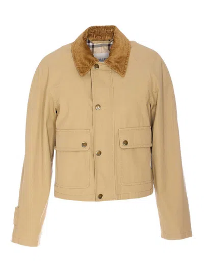 Burberry Beige Cropped Cotton Jacket In Beige