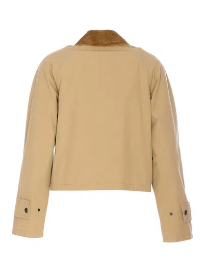 Burberry Beige Cropped Cotton Jacket In Beige