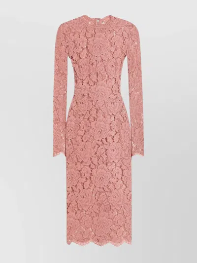 Dolce & Gabbana Women Branded Floral Cardonetto Lace Sheath Dress In Pink