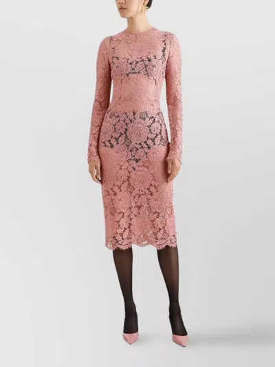 Dolce & Gabbana Women Branded Floral Cardonetto Lace Sheath Dress In Pink