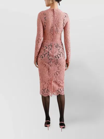 Dolce & Gabbana Women Branded Floral Cardonetto Lace Sheath Dress In Pink