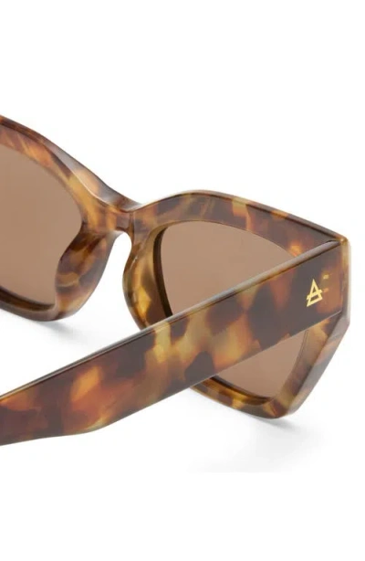 Aire Persei Sunglasses In Brown