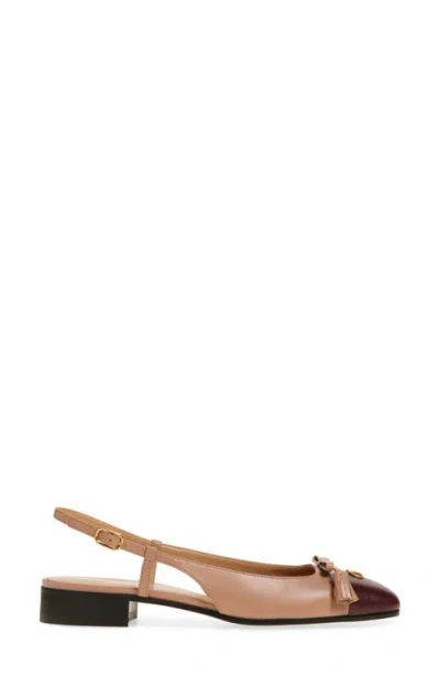 Valentino Valet Du Roi Leather Slingback Ballerina Flat In Brown