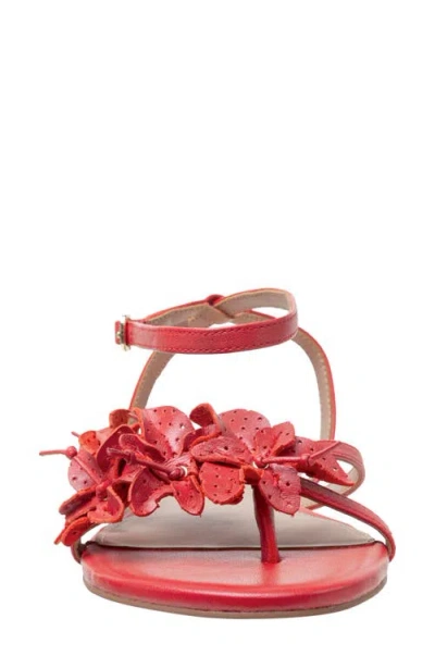Linea Paolo Lucia Ankle Strap Sandal In True Red