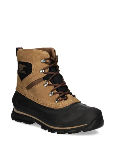 Sorel Buxton Lace Boots In Brown