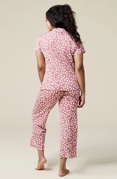 Softies Aria In Copper Rose Dot