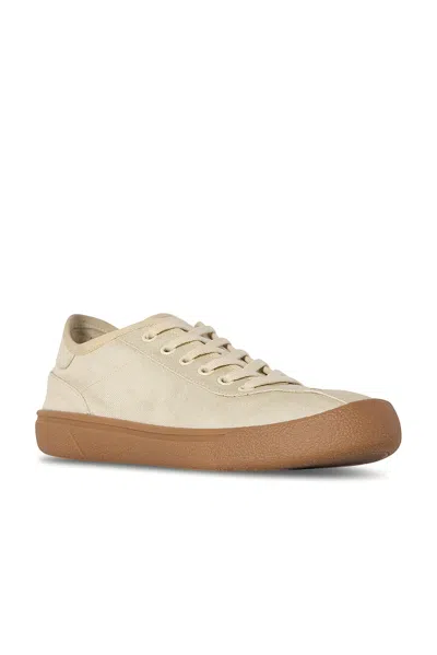 The Row Deportiva Lona Suela Goma Crud In Neutral