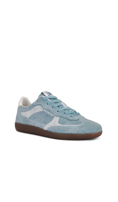 Sam Edelman Kallen Sneaker Coastal Blue Suede In 海滨蓝