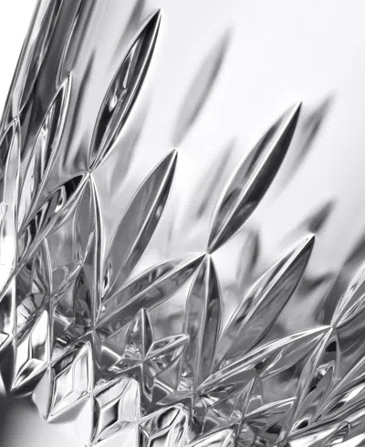 Waterford Lismore Essence Vase In Clear