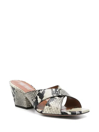 Paris Texas Arizona Snake-embossed Leather Mule Sandals In Animal Print