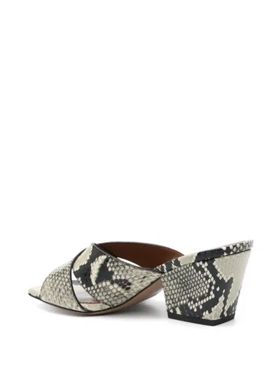 Paris Texas Arizona Snake-embossed Leather Mule Sandals In Animal Print