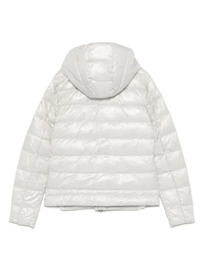 Blauer Padded Jacket In Grey