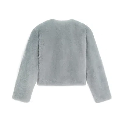 Celine Cashmere Cardigan In Gray